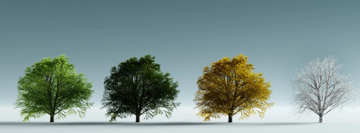 Cómo afectan las estaciones del año al nivel freático