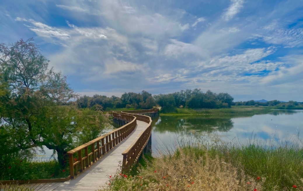 Cómo identificar la recarga natural de un acuífero antes de perforar