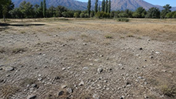 Código de Aguas reformado