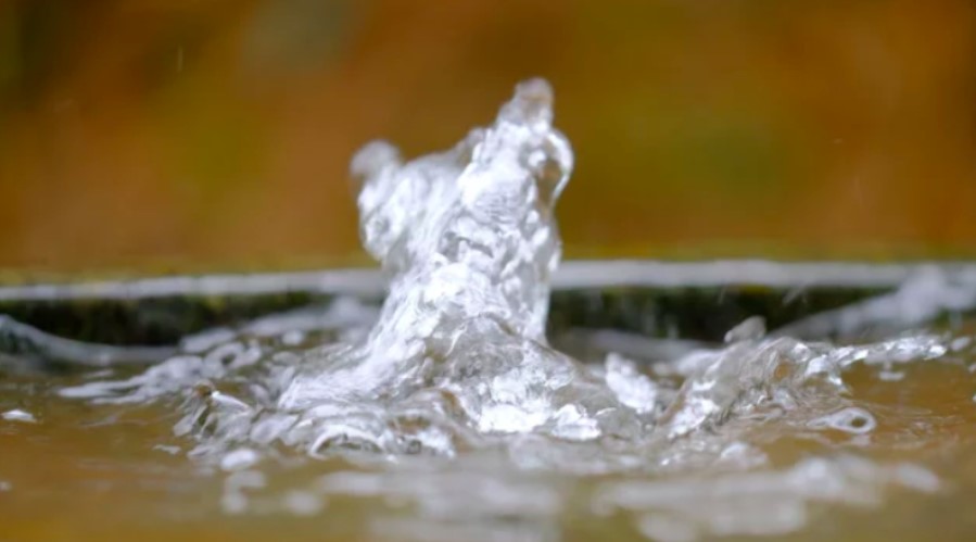 el agua de mi pozo huele mal