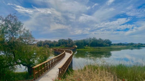Cómo identificar la recarga natural de un acuífero antes de perforar